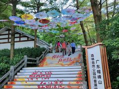 -广州市帽峰山景区