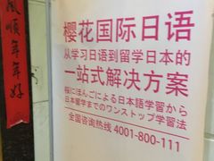-樱花国际日语(人广中心)