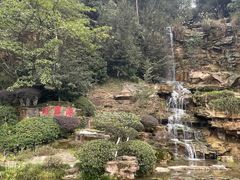 -铁山坪森林公园