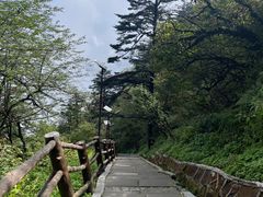 -峨眉山风景名胜区