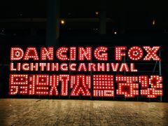 -锦江乐园舞狸花花游园会(夜场专享)