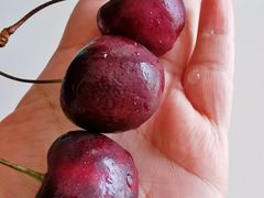 -水果天空(东葛店)