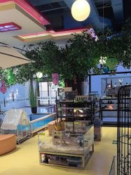 -开心哈乐儿童主题乐园(孙河易事达店)