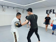 -EFL巴西柔术·综合格斗·泰拳·少儿体能训练(虹桥德必馆)