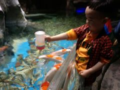 -多彩贵州城极地海洋世界