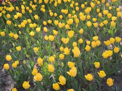 -长春公园(普阳街道)