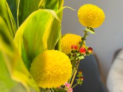 -食悦江南·淮扬菜·烤鸭(亚运村·惠新店)