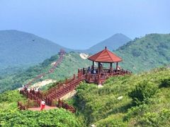 -广鹿岛