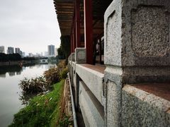 -光明港公园