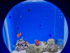 -锦艺城海洋馆