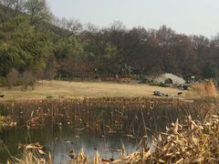 -东湖磨山景区
