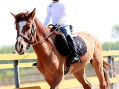 小会员-月河湾马术俱乐部(朝阳店)