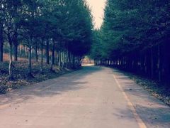 -赛汗塔拉风情园