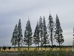 -蜀绣公园