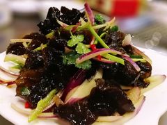 圆葱拌木耳-宗泉烤全羊·烤羊腿·家常菜(解放东路店)