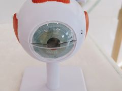-爱尔眼科|海得视门诊·OK镜·离焦眼镜(东莞分院)