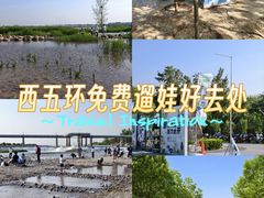 -绿堤公园