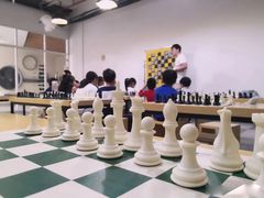 -常青藤国际象棋(新奥店)