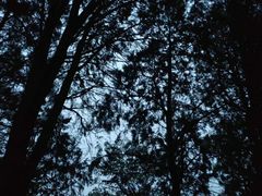 -鬼笑石后山停车场