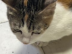 -老丘丘(较场口店)