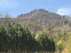 -北京鹫峰国家森林公园