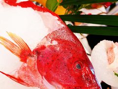 -高老庄新家宴(北斗星广场店)