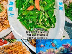 -小海豚•老字号海鲜餐厅(天涯店)