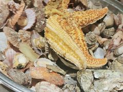 精品什锦海鲜锅-永红源啤酒·烧烤·海鲜·大排档(青特城店)