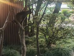 -扬州瘦西湖温泉