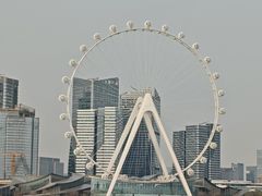 -金鸡湖桃花岛