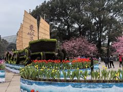 -南山植物园