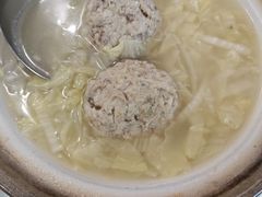 -丁老爷子苏香圆
