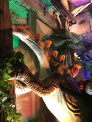 -恐龙探索乐园(磁器口店)