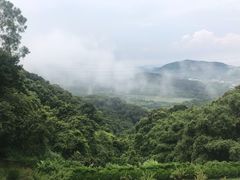 -广州市帽峰山景区
