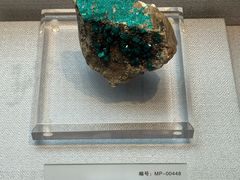 -湖南省地质博物馆