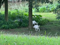 -福建鲤鱼洲酒店
