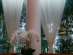 -花园5號餐厅