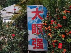 -大眼强五杯鹅·桑拿鸡煲