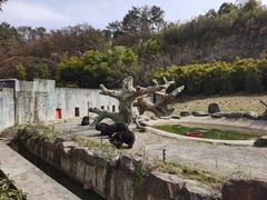 -宁波野生动物园