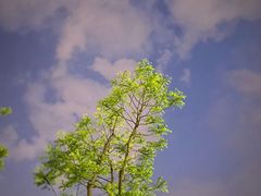 -木子塘汗蒸生活馆(财富港店)