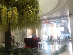-南方医科大学深圳医院