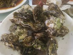 -兴旺渔家