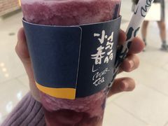 -春丽小马(济南恒隆广场店)