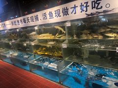 水产区-胖姐渔村(中源大道店)