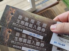 -鹿境梅花鹿生态园区