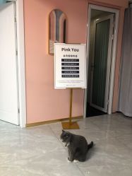 -Pink You美甲洗眉纹绣定制中心