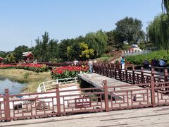 -绿堤公园