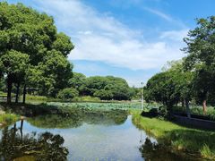 -蠡湖大桥公园
