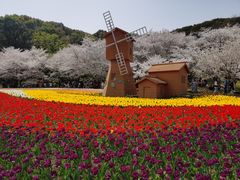 -苏州上方山国家森林公园