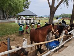 -大连铭湖国际观光牧场